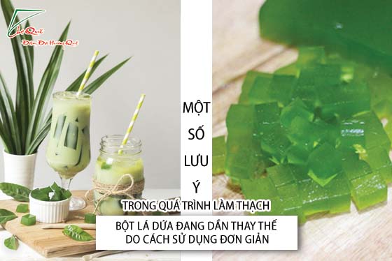 Thạch lá dứa (thạch lá nếp)